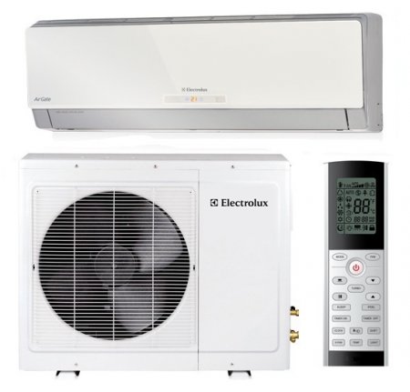�����-������� ����� Air-Gate Electrolux